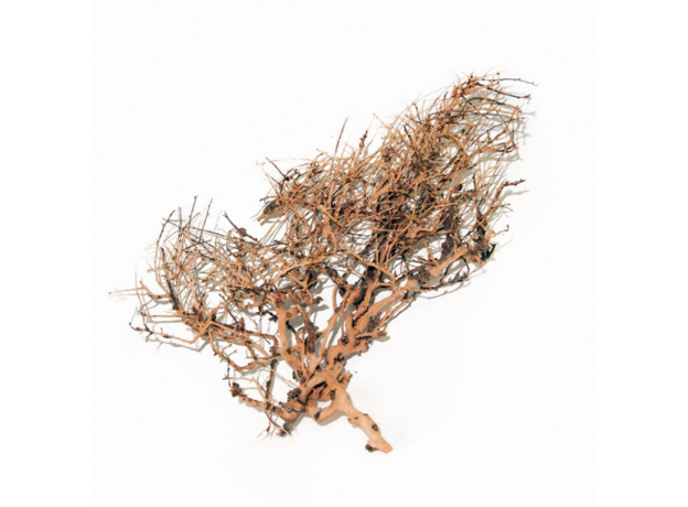 DECOTOP Okinawa M – Натуральная коряга 35-65 см для аквариумов от 50 л