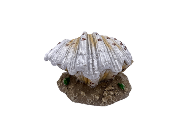 Декорация-распылитель Морская раковина, 13х10х7,5см