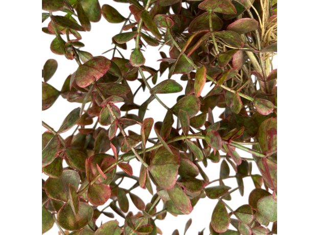 Искусственное растение на подставке Фитодизайн, 75х25 см