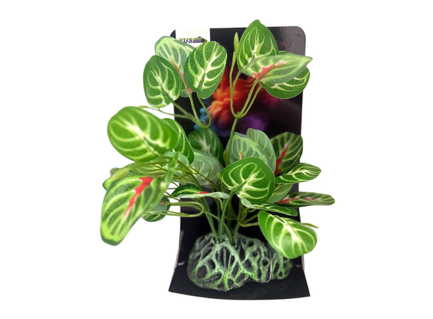 Искусственное растение на подложке Фиттония 11х7х25см