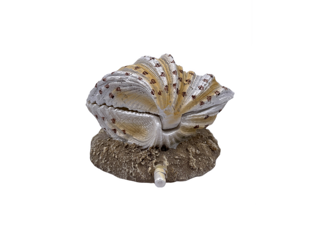 Декорация-распылитель Морская раковина, 13х10х7,5см