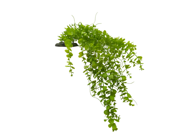 Искусственное растение на подставке Фитодизайн, 68х35 см