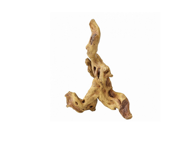 AQUA DELLA Декорация для аквариума Коряга кофейного дерева, 21х10х20 см