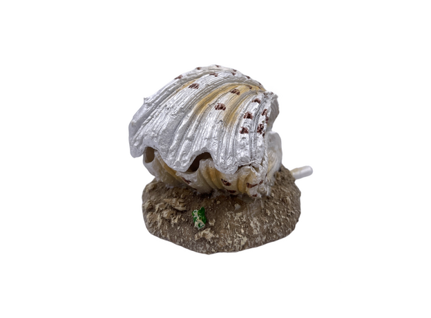 Декорация-распылитель Морская раковина, 13х10х7,5см