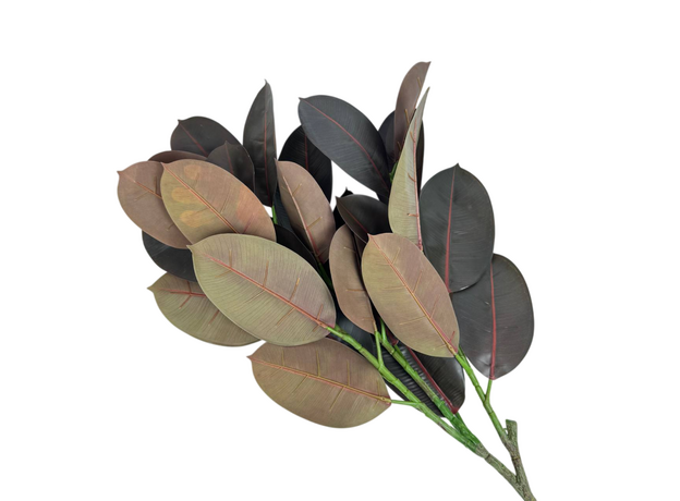 Декор каучуковое дерево