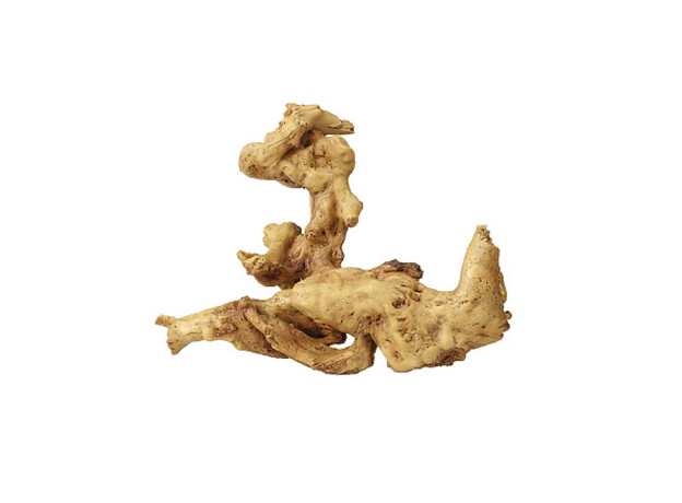 AQUA DELLA Декорация для аквариума Коряга кофейного дерева, 21х10х20 см