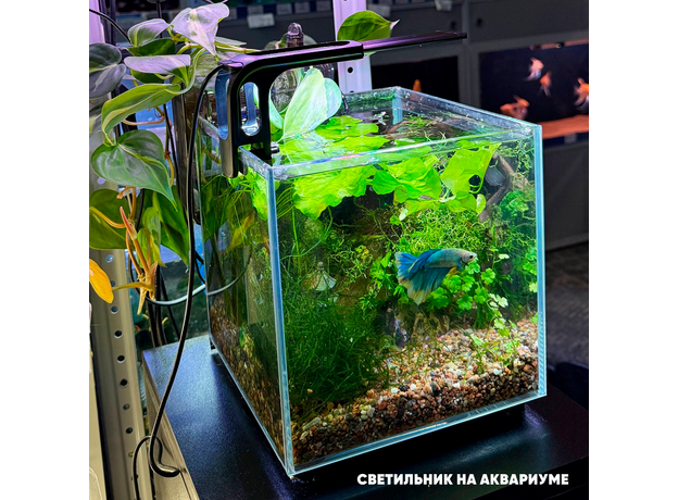 Светильник светодиодный YEE 4.8 Вт, 19 см, для аквариума на зажиме (WRGB), (Китайская вилка)