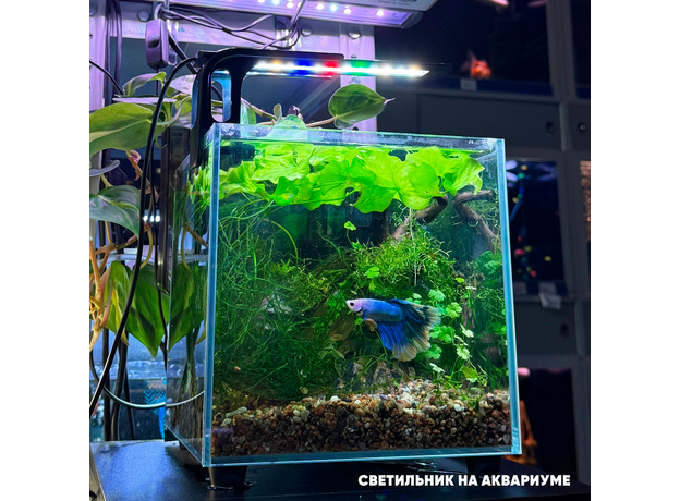 Светильник светодиодный YEE 4.8 Вт, 19 см, для аквариума на зажиме (WRGB), (Китайская вилка)