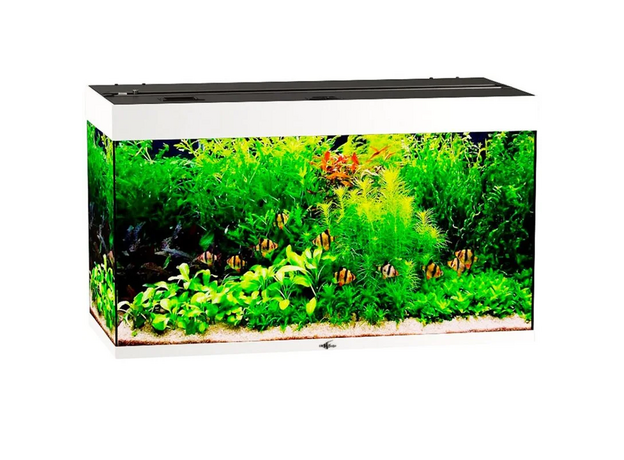Аквариум Biodesign Риф 240, 225 л, 101х46х60 см, без светильника