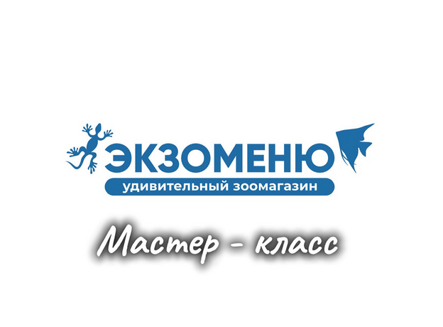 Посещение мастер - класса