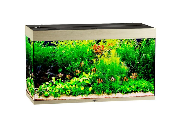 Аквариум Biodesign Риф 240, 225 л, 101х46х60 см, без светильника