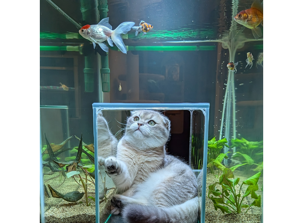 Аквариум для кота " Котариум", 800х445х550мм, тумба с 1 дверкой