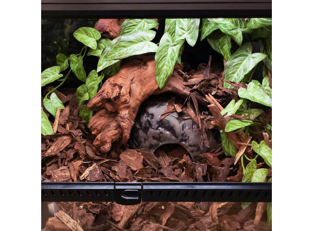 Террариумный комплект "Ермунганд"