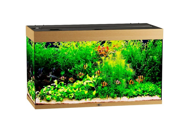 Аквариум Biodesign Риф 240, 225 л, 101х46х60 см, без светильника