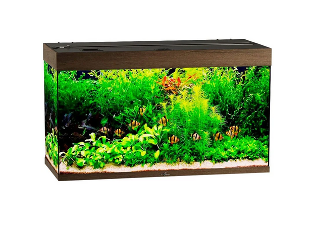 Аквариум Biodesign Риф 240, 225 л, 101х46х60 см, без светильника