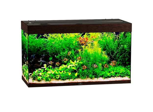 Аквариум Biodesign Риф 240, 225 л, 101х46х60 см, без светильника