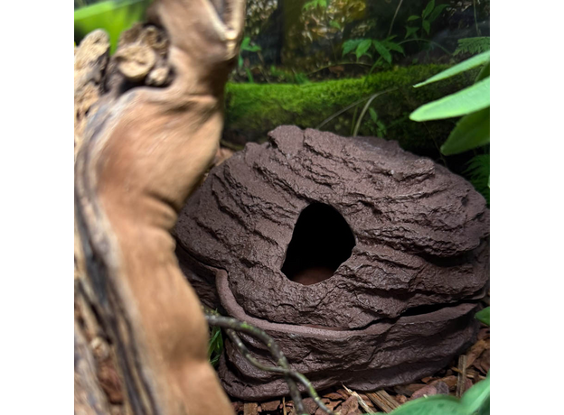 Террариумный комплект "Туманный лес"
