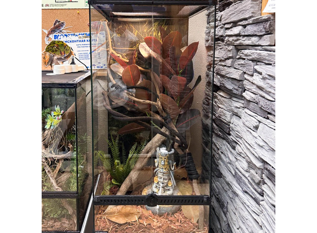 Террариумный комплект "В тени магнолии"