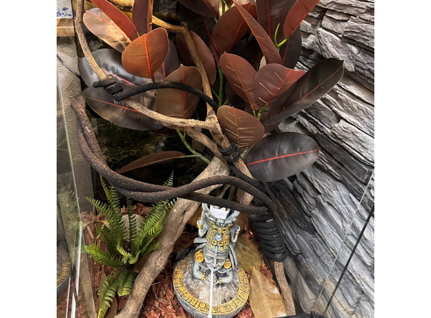 Террариумный комплект "В тени магнолии"