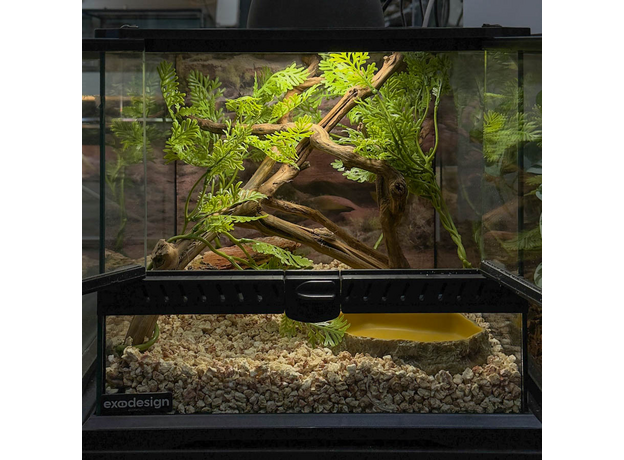 Террариумный комплект "Маисово поле"