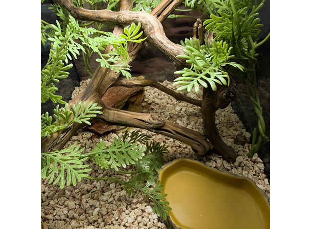 Террариумный комплект "Маисово поле"