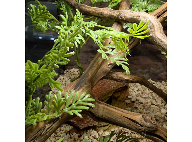 Террариумный комплект "Маисово поле"