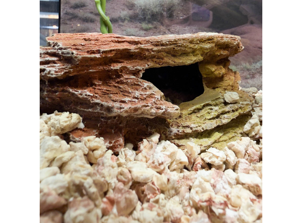 Террариумный комплект "Маисово поле"