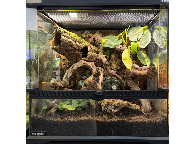 Террариумный комплект "Спутанные корни"