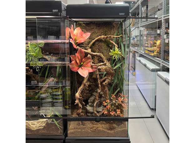 Террариумный комплект "Тайны Канопи"