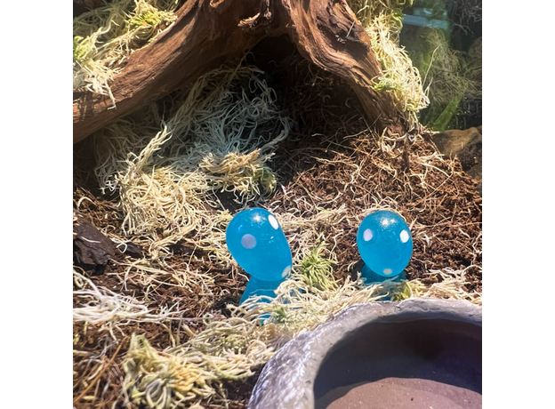 Террариумный комплект "Духи леса"