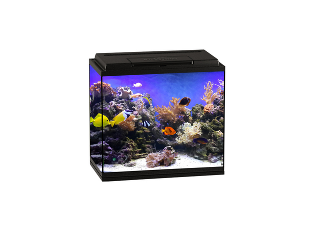 Аквариум Biodesign КЛАССИК 50 (черный) 55 л, прямоугольный, 50х29х45 см, свет