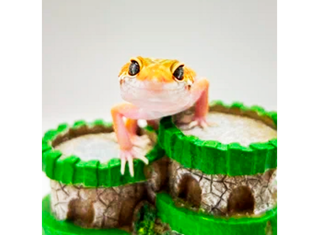 Эублефар пятнистый Hypo Tangerine Carrot Tail (HTCT) L