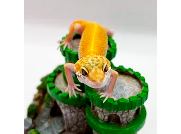 Эублефар пятнистый Hypo Tangerine Carrot Tail (HTCT) L