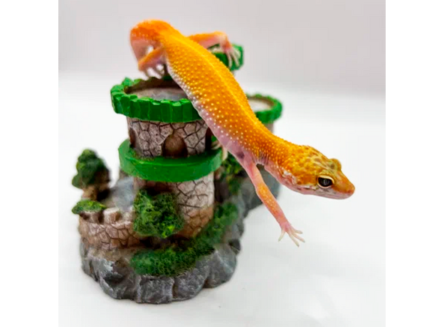 Эублефар пятнистый Hypo Tangerine Carrot Tail (HTCT) L