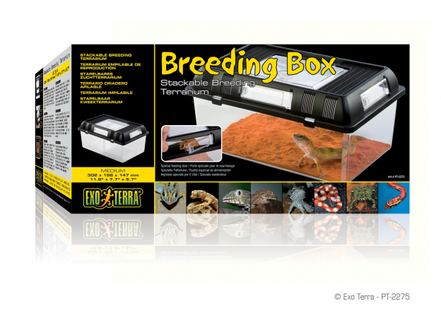 Контейнер для разведения Exo Terra Breeding Box средний, 302х196х147 мм