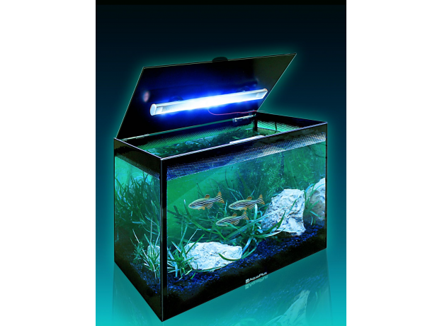 Аквариум AquaPlus LED компакт (310х200х250-4), 15 л. со светильником LED RGB