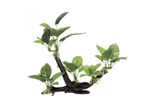 ArtUniq Branched Driftwood With Anubias lanceolata M2 - Декоративная композиция из пластика Ветвистая коряга с анубиасом, 32x15,5x27,5 см