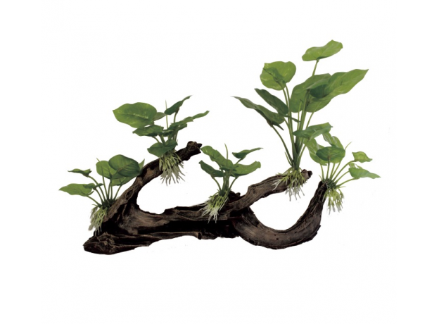 ArtUniq Mangrove Driftwood With Anubias M5 - Декоративная композиция из пластика "Мангровая коряга с анубиасом", 39,5x11x26 см