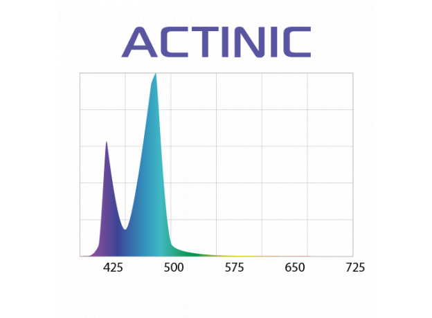 Светильник LEDDY SLIM ACTINIC  36W