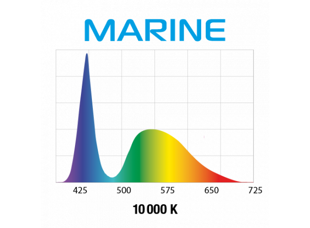 Светильник LEDDY SLIM MARINE  32W