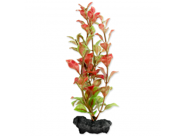 Растение аквариумное Tetra Red Ludvigia S с утяжелителем,15 см