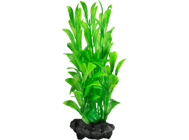 Растение аквариумное Tetra Hygrophila S с утяжелителем, 15 см