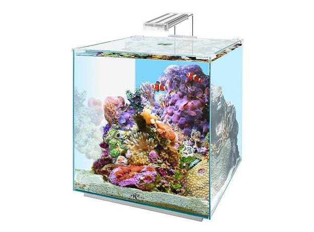 !Аквариум Biodesign Q-SCAPE OPTI 50 л, 37х37х42 см