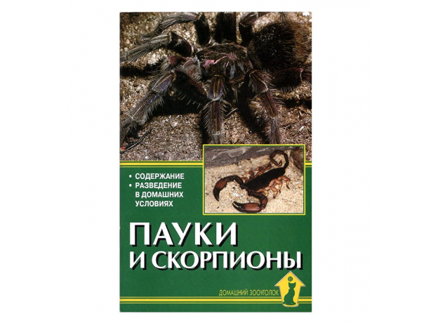 ПАУКИ И СКОРПИОНЫ. Содержание. Разведение в домашних условиях. Чегодаев А.Е.