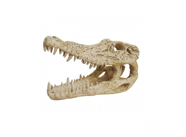 ArtUniq Crocodile Skull - Искусственная декорация "Череп крокодила"