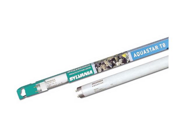 Лампа люминесцентная Sylvania Aquastar 14 Вт 361мм, цоколь Т8
