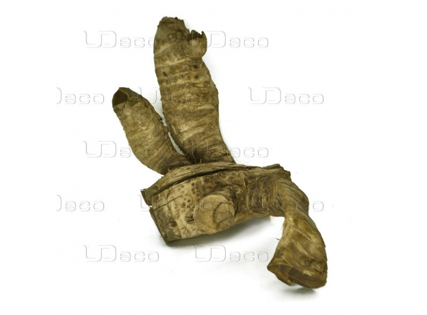 UDeco Bamboo root S - Натуральная коряга "Корень бамбука гладкий" для оформления аквариумов и террариумов, 1 шт.