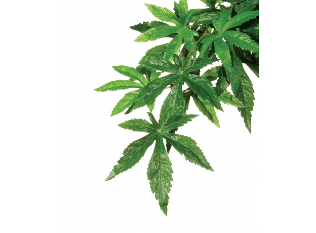 Тропическое растение Exo Terra Jungle Plants Абутилон большое, 80х20 см