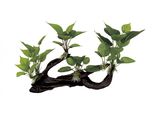 ArtUniq Mangrove Driftwood With Anubias M4 - Декоративная композиция из пластика "Мангровая коряга с анубиасом", 39,5x11x23 см