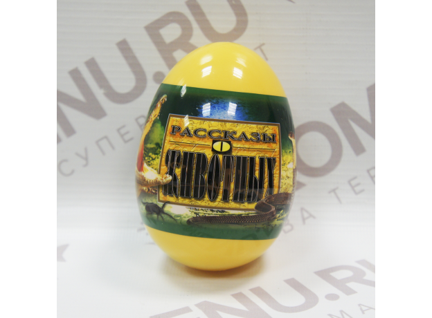 Набор "Жуки,змеи и крокодилы" в цв.яйцах